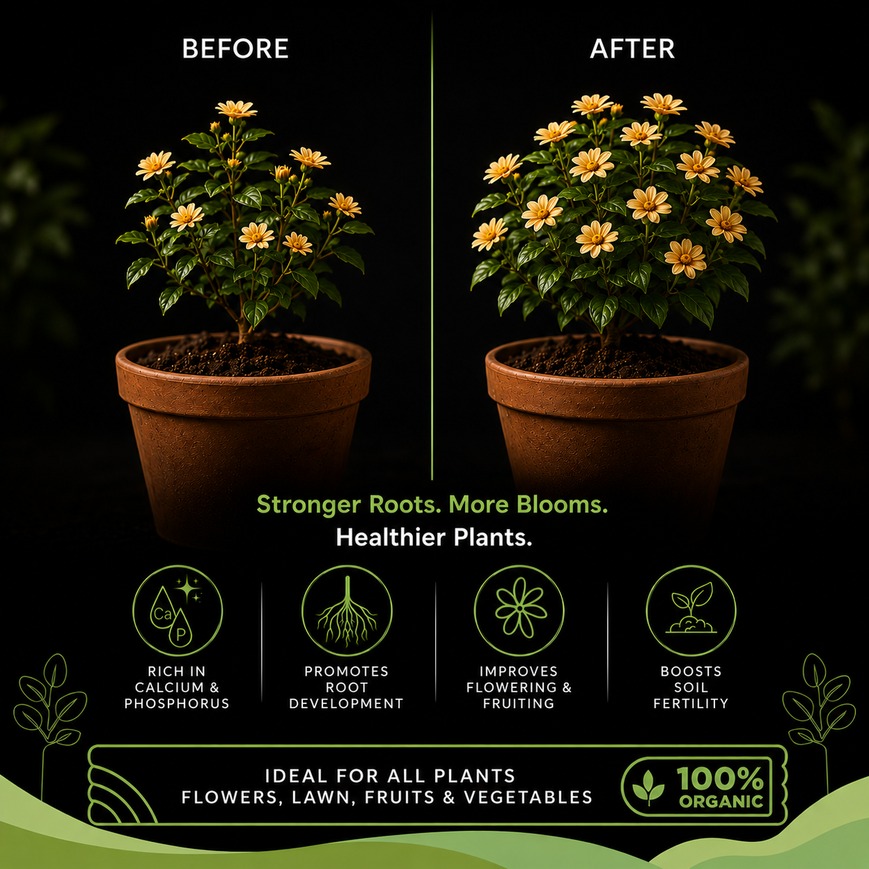 Bone Meal Fertilizer - For Flowers, Vegetables and Fruit Plants (950 Grams)