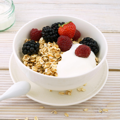 Yogurt Strainer