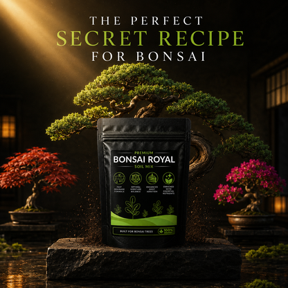 Plant Care Combo - Neem Cake Powder and Bonsai Royal Soil Mix