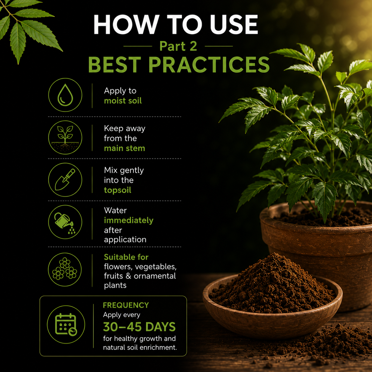 Neem Cake Powder