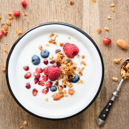 Yogurt Strainer
