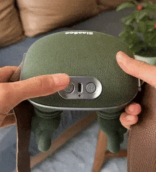 4D Kneading Massager